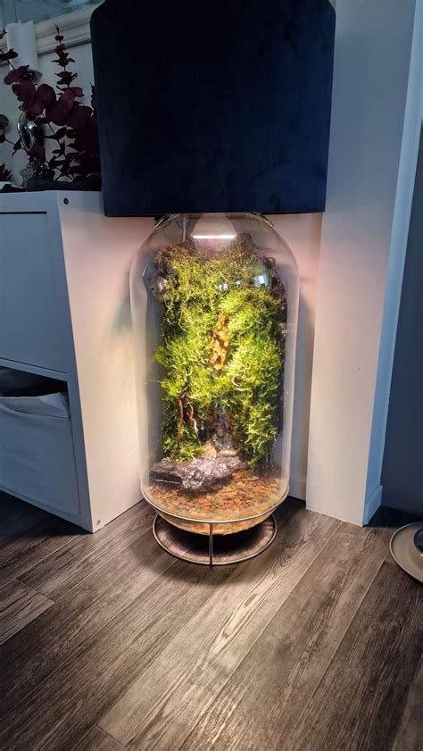 Pin By Kim On Green Interior In 2024 Beautiful Terrariums Plant