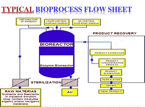 Process Flow Diagram Bioprocess Guide How To Read Knowledge