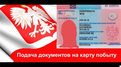 Які документи потрібні для отримання карти побиту! - YouTube