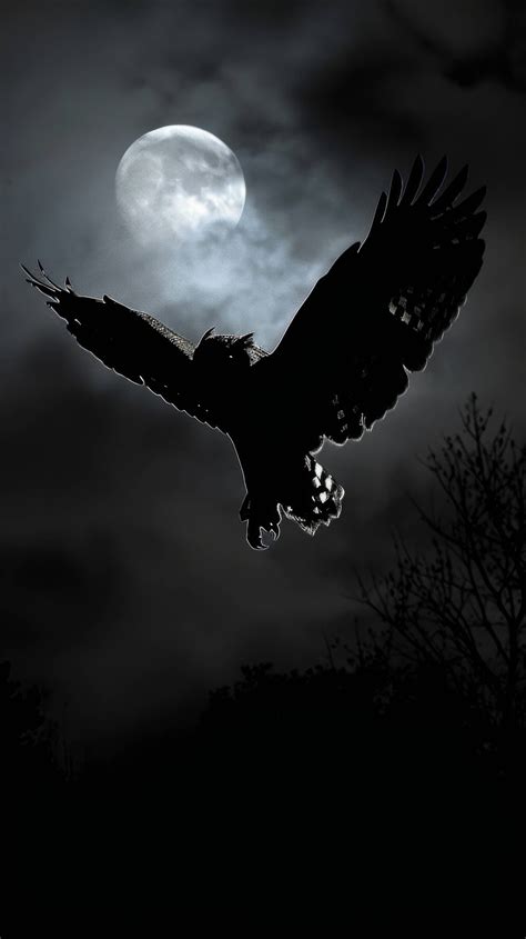 flying hawk at night, hawk in moonlight, bird of prey night sky, raptor ...