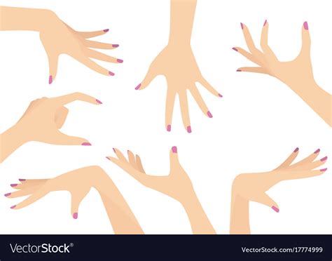 Female Hand Vector