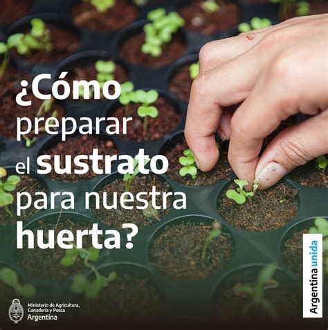 🌱 El suelo es uno de los... - Prohuerta Buenos Aires Sur