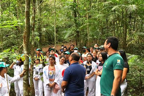 Semana Do Meio Ambiente Do Instituto Soka Amazônia Instituto Soka