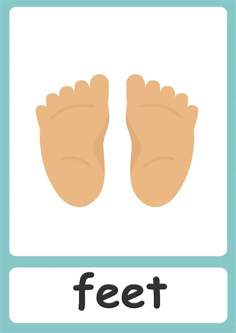 Body Parts Flashcards Printable Free