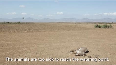 Ethiopia drought: An immediate threat | International Rescue Committee ...