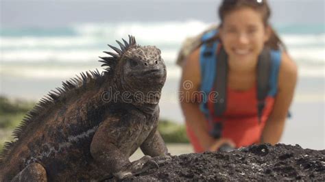 Wildlife Photographer And Tourist On Galapagos Taking Photo Of Marine