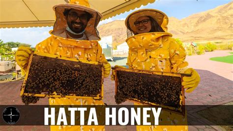 Hatta Honey Bee Garden Tour Youtube