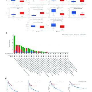 Ikbip S Prognostic Significance In Many Malignancies Cancer Stage And