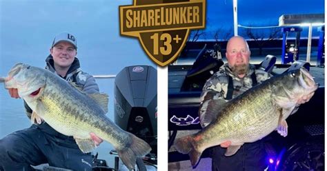Oh Ivie Turns Out 2 More Huge Bass To Start Sharelunker 24
