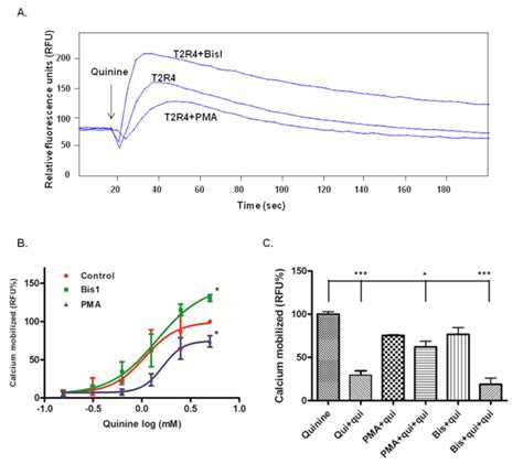 Effect Of Pkc Activator And Inhibitor On Quinine Mediated T R