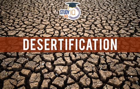 Desertification Causes