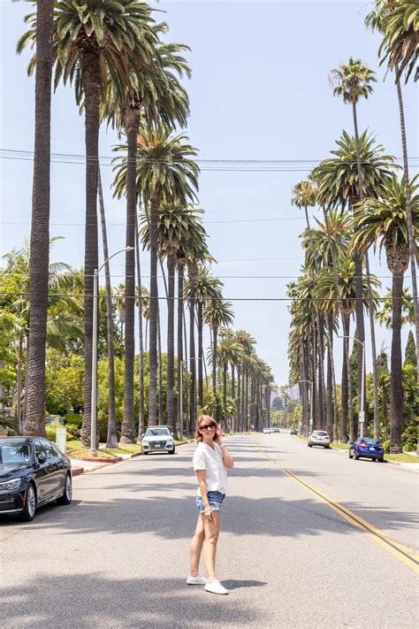 Tree Lined Street