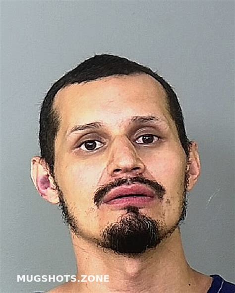 Ibanez Jose M Manatee County Mugshots Zone