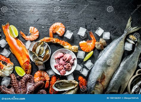 Various Seafood With Ice Stock Image Image Of Shell 150156351