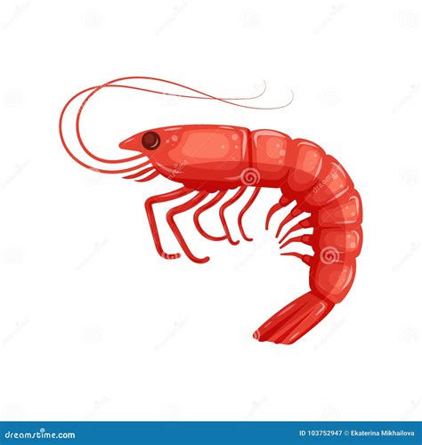 Flat Red Shrimp Isolated On White Background Vector Illustration Prawn Icon Logo Seafood