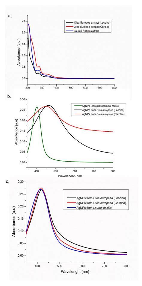 Uv Vis Spectra Of Olea Europaea Extracts Leccino Carolea And Laurus