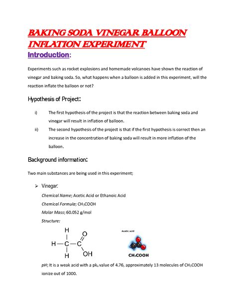 Solution Vinegar Baking Soda Experiment Studypool