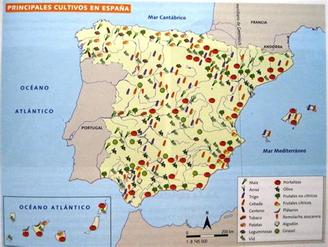 Descubre los principales cultivos en España