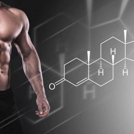 Do Testosterone Boosters Help In Building Muscle Mass Kryolife Health