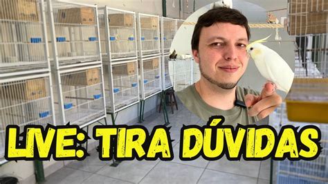 LIVE TIRA DÚVIDAS YouTube