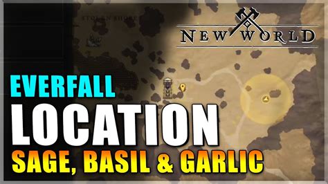 Sage Basil And Garlic Herb Locations In New World Everfall Youtube