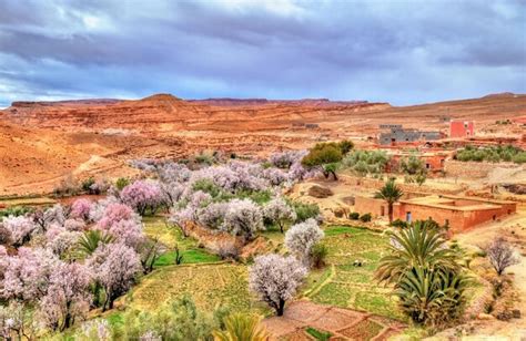 Premium Photo Landscape Of The Asif Ounila Valley The Road Of The