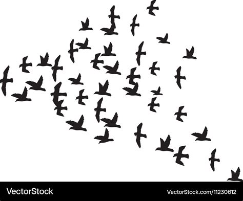 A Flock Birds Royalty Free Vector Image VectorStock