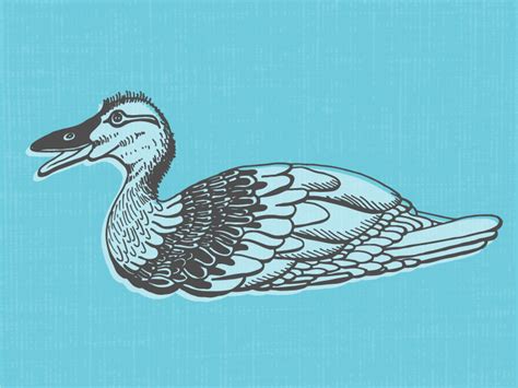 Duck By Hope Armstrong On Dribbble