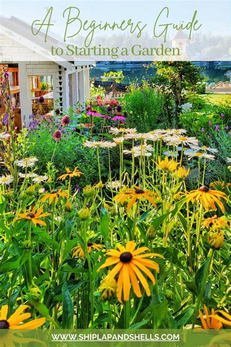 A Beginners Guide To Flower Gardening How To Get Started Shiplap And