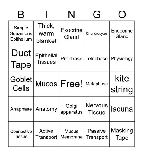 Anatomy And Physiology Bingo Card