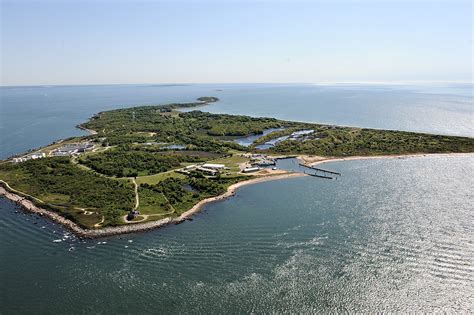 Good News For Plum Island The East Hampton Star