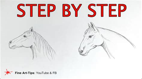 horse head drawing step by step - Leanora Loper