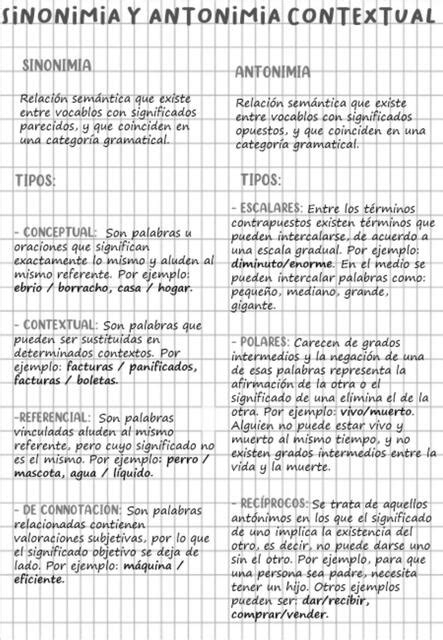 Sinonimia Y Antonimia Alexandra Mq Udocz
