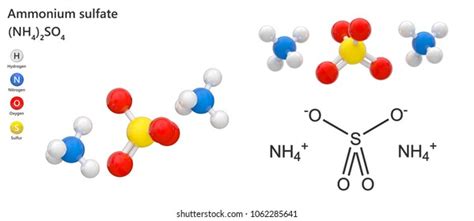 612件の「ammonium Sulfate」の画像、写真素材、ベクター画像 Shutterstock