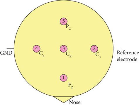 Schematic Diagram Of Electrode Positions Arranged According To The Download Scientific Diagram