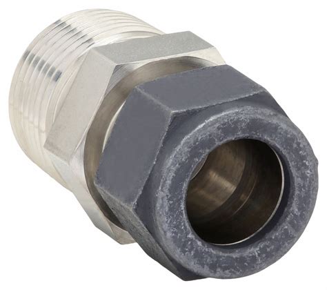 Stainless Steel Compression X Mnpt Male Connector Pzh Fbz