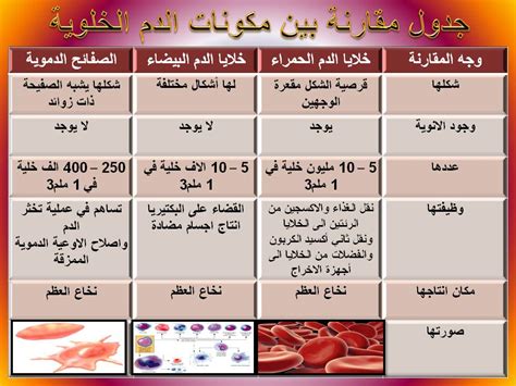 جهاز الدوران والليمف