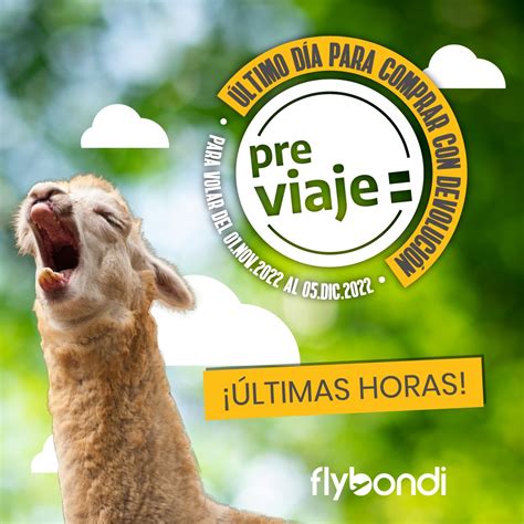 flybondi on Twitter ULTIMAS HORAS Aprovechá Previaje para volar