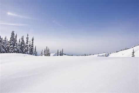 Blanket Of Snow The Ground Is Covered In So Much Snow That The Snow Is Almost Like Fabric And