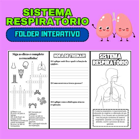 Sistema Respiratório 5 Ano - 9