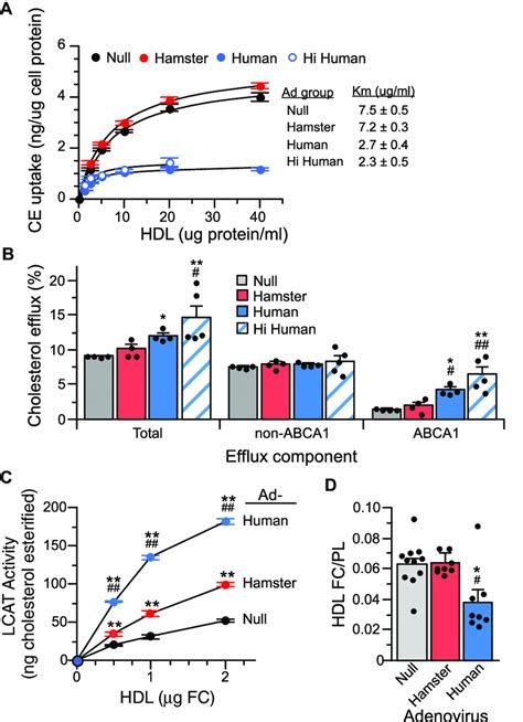 Functional Properties Of Hdl A Srbi Mediated Uptake Of Hdl Ce Hdls