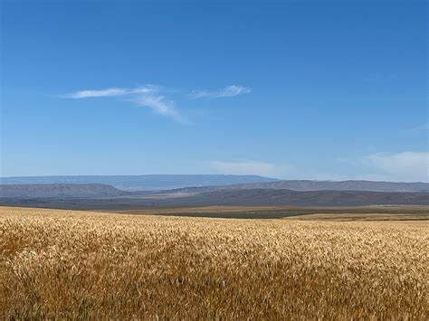 Whitehall Road Southeast, Soap Lake, WA 98851 | Land.com