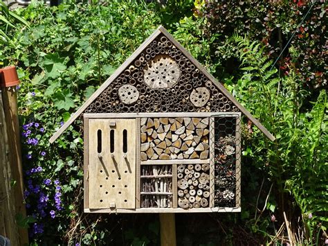 How To Make An Ecofriendly Bug House