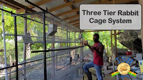 Jamaica Rabbit Farming Installing A Three Tier Rabbit Cage System