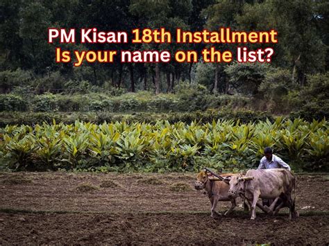 PM Kisan 18th Installment To Be Released Today Check If Your Name Is