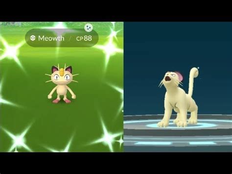 WE CAUGHT SHINY MEOWTH POKEMON GO SHINY MEOWTH EVOLVES INTO SHINY