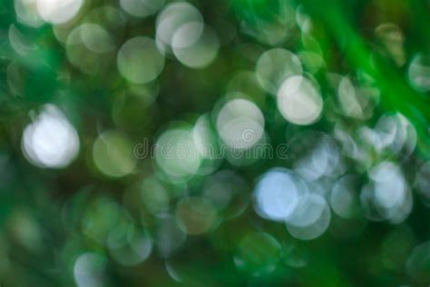 Abstract Natural Green Blurred Background Stock Photo Image Of Light