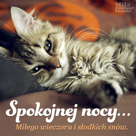 Spokojnej nocy Na Dobranoc E kartki z życzeniami na wszystkie okazje