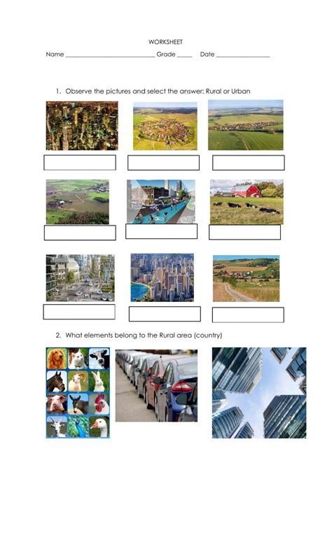 Urban Suburban Rural Online Exercise For 2 Live Worksheets
