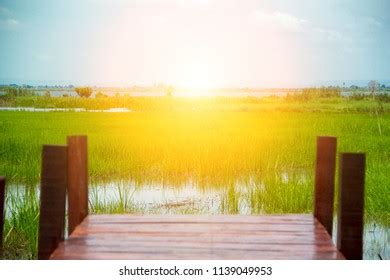 Wooden Bridge Sunsetbridge Sunset Wooden Bridge Stock Photo 1139049953 | Shutterstock